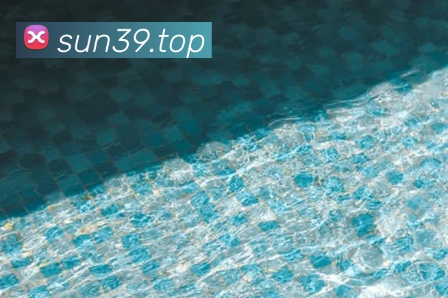 登录器